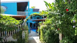 Welcome to Toro Blanco Hotel | Playas del Coco, Costa Rica Welcome to Toro Blanco Hotel | Playas del Coco, Costa Rica