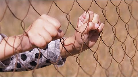 🌸 Ý cầu nguyện của Đức Thánh Cha Phanxico 🌸 THÁNG 4: Ý cầu nguyện – CÁC QUYỀN CĂN BẢN