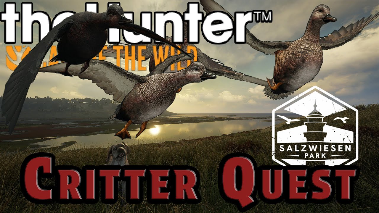 Новая идея на 2026 год! theHunter: Call of the Wild | Critter Quest: Gadwall