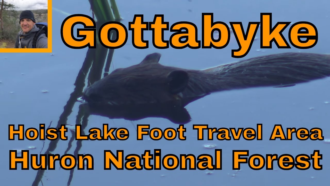 Hoist Lake Foot Travel Area/Huron National Forest