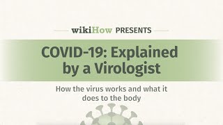 A Virologist Explains: What is a virus and how does COVID-19 affect the body?