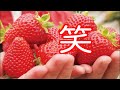 今日のお買い物に笑!日本では考えられない大らかさ