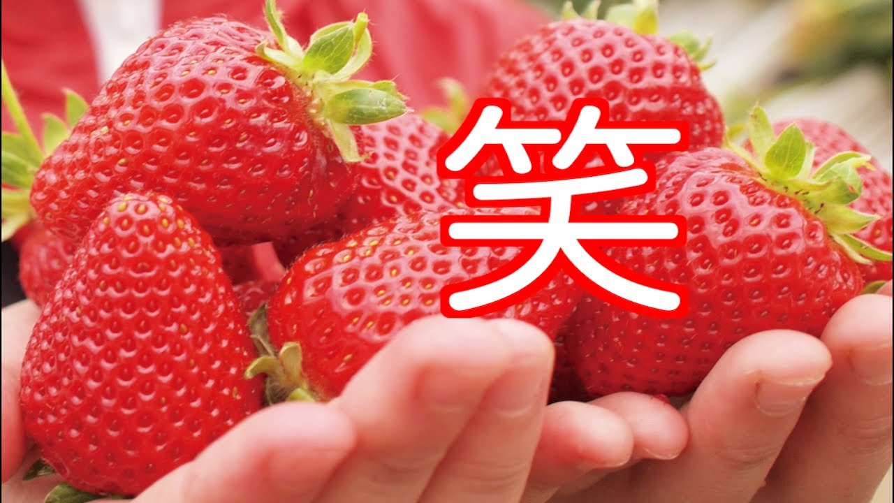 今日のお買い物に笑!日本では考えられない大らかさ