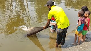 Net Fishing Video - Fish Catching Using by Cast Net in The Beautiful Pond