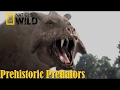 Best documentary of all time national geographic documentary  prehistoric predators killer pig