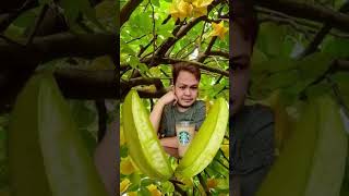 balembing #fruit #template #shorts #ilovecoffee