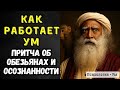 Как работает ум: Притча о сверхспособностях, обезьянах и осознанности.