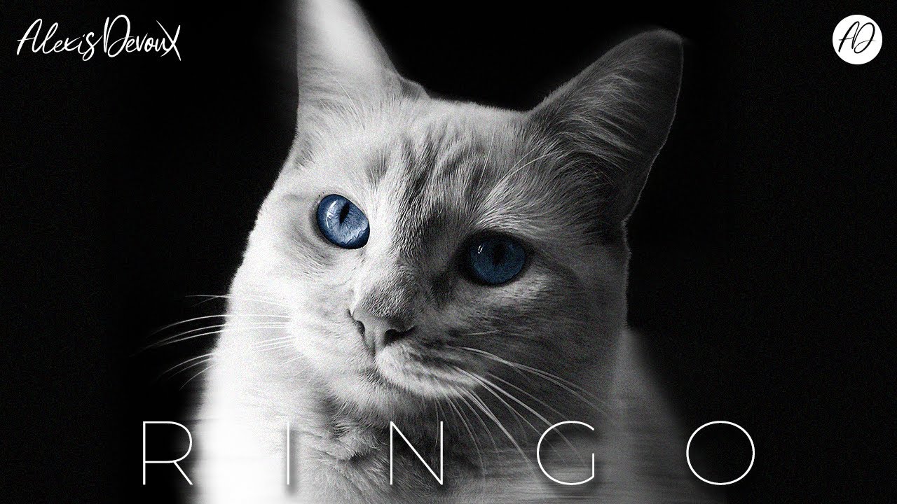Watch Alexis Devoux - RINGO (Official Audio) on YouTube Watch Alexis Devoux - RINGO (Official Audio) on YouTube