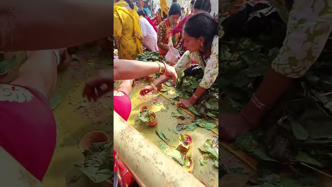 Maha Shivaratri 🙏 Vlogs 