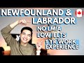 WHAT IS PRIORITY SKILLS NEWFOUNDLAND AND LABRADOR: NLPNP in-demand jobs without LMIA and low IELTS
