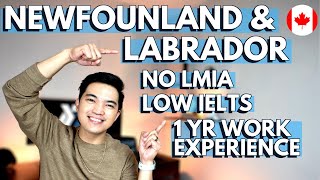 WHAT IS PRIORITY SKILLS NEWFOUNDLAND AND LABRADOR: NLPNP in-demand jobs without LMIA and low IELTS