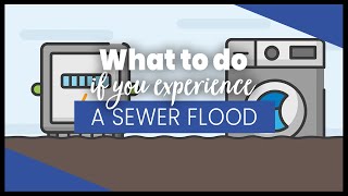 What to do if you experience a sewer flood