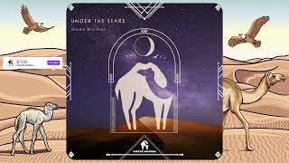 Goda Brother - Under The Stars (Cafe De Anatolia Songs)