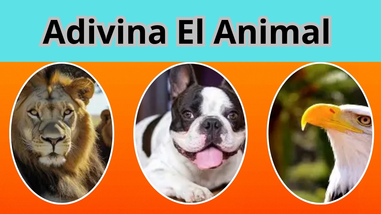 ¿ADIVINA LOS ANIMALES? 🌍 50 PREGUNTAS, que solo un EXPERTO responde ✅ | TAINO QUIZ 06