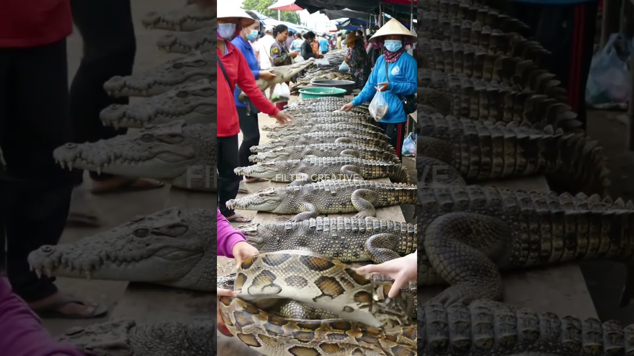 Scenes from a Traditional Market