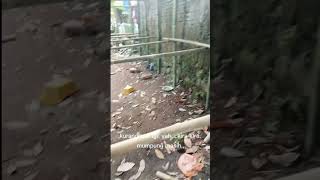 KANDANG UMBAR FULL BAMBU Dengan bahan seadanya