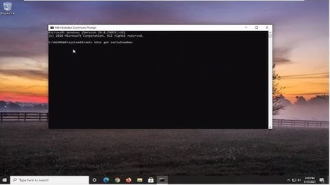 How to Find the Service Tag on a Windows 10 Laptop [Tutorial]