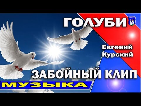 Новинка клипа 2018 /Голуби- Евгений Курский/Смотреть всем! Позитивная песня!! Танцуют ВСЕ!!!