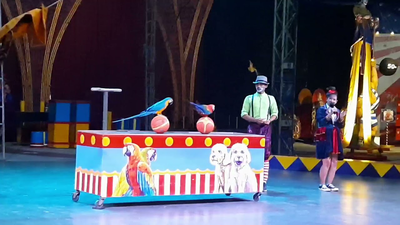 Oriental Circus Indonesia (OCI) di kawasan Taman safari Prigen