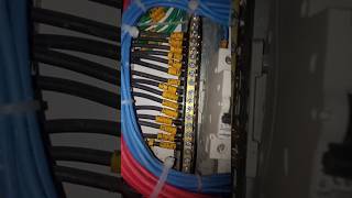 MCB Connection | DB MCB Wiring 😭 | Electric DB MCB #shorts #mcb #wire
