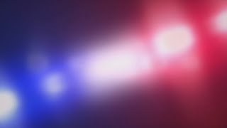 North Forsyth High School student charged with bringing gun to campus