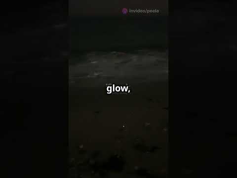 Sparkling Oceans: Nature’s