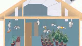 2.JC.UG1.Construcción del cuarto de cultivo
