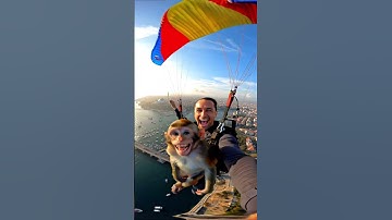 Monkey’s Parachute Fun! 🐒🪂 #monkey #action #funny #interesting