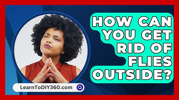 How Can You Get Rid of Flies Outside? - LearnToDIY360.com