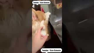 Küstüm Menali Statuslar Qemli Videolar Status Ucun Video Sevgi Duygusal Anlamli Aglamali Ayriliq