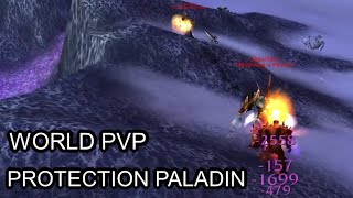 Never underrate your opponent | Protection Paladin world pvp | Wrath of The Lich King