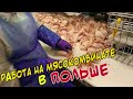 Работа на мясокомбинате в Польше. Разделка курицы.