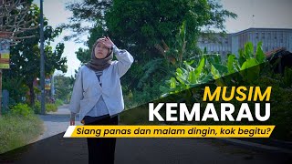 Download Lagu Kenapa Suhu Malam Hari pada Musim Kemarau Justru Lebih Dingin? MP3