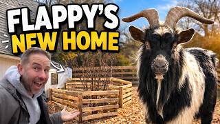 Fluffy Feather Farm Adventures: Flappy's New Home (Episode 4)