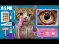 Asmr treating cats infested with parasites  ear cleaning  eye insect removal  cat care