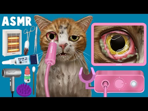 [ASMR|스톱모션] Treating Cats Infested with Parasites | ear cleaning | eye insect removal | cat care