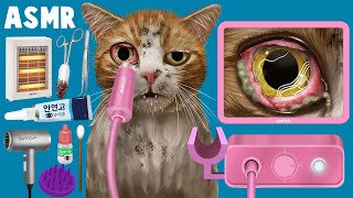 [ASMR|스톱모션] Treating Cats Infested with Parasites | ear cleaning | eye insect removal | cat care