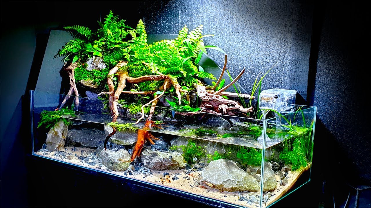 Waterfront Zoologisk have Optø, optø, frost tø EPIC 2.5ft AQUA TERRARIUM - My Biggest Yet (How To Aquascape: No co2 No  Ferts No Heater) - YouTube