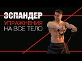 Тренировка с эспандером (амортизатором) (8 минут) #geoprofit