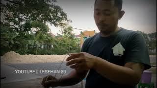 lesehan ikan bakar 89