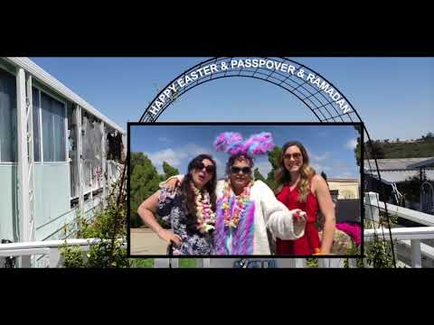 2019 HAPPY SPRING from Vicki Barbolak