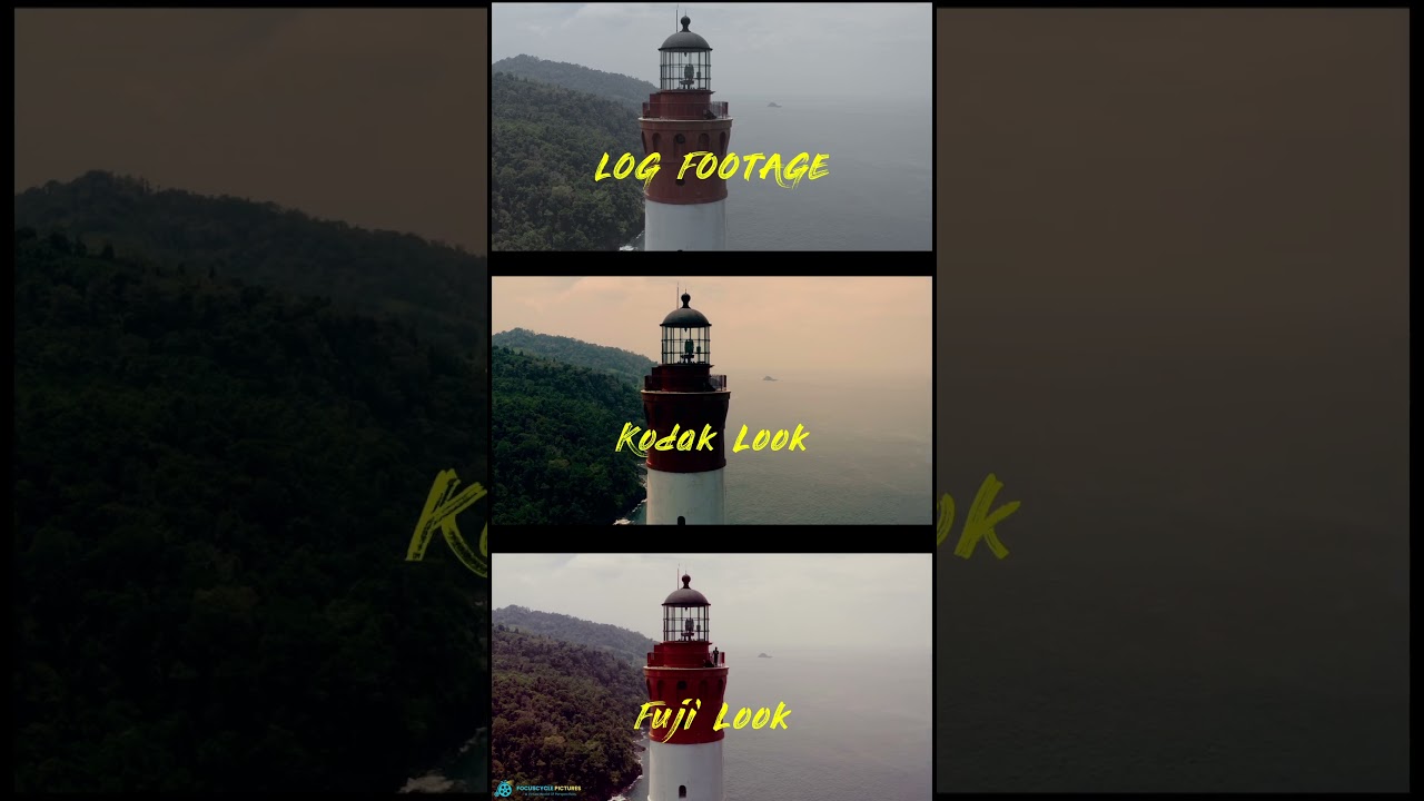 Colour Reimagined - Grading looks