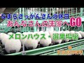 【北海道グルメの裏事情】らいでんメロン美味しさの秘密【必見】