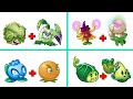 PvZ 2 The Best Pair Plants Have The Same Skills - Which Team Plant Will Win?