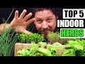 Top 5 Herbs To Grow Indoors