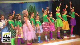 LCA: The Wizard of OZ (Summer 2017)