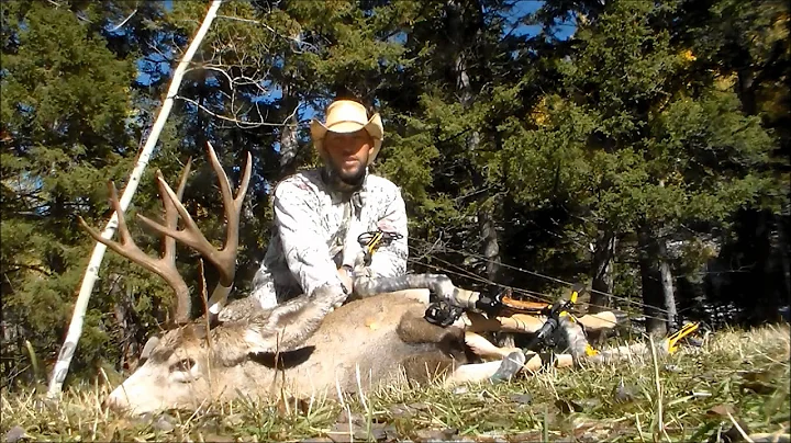 2013 Montana Archery Mule Deer