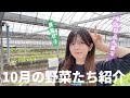 【農業】10月の野菜たちを紹介します🌱#農業女子