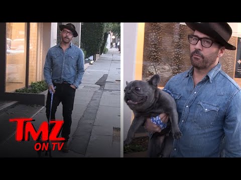 Jeremy Piven Forgets His Dog In The Car While He Goes To A Restaurant | TMZ TV