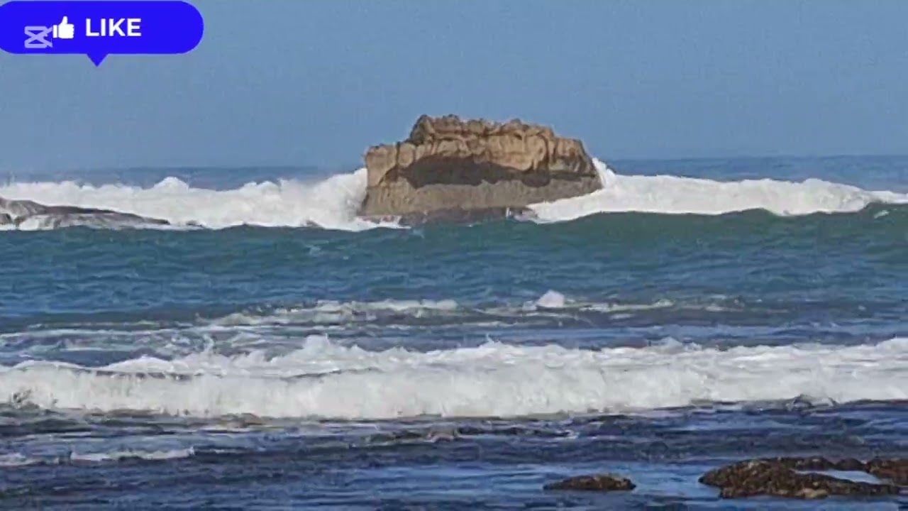 يخلق الله تعالى  مايشاء  ونحن نسبح بحمده 